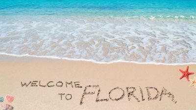 How to Sell a Car Privately in Florida (Step by Step)